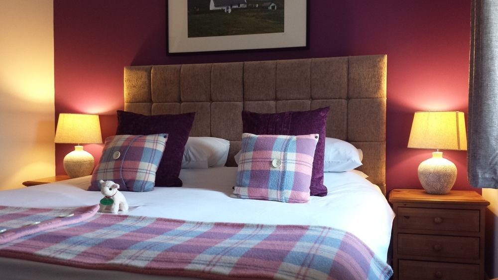 Couette-café Llety Cynin Llangynin
