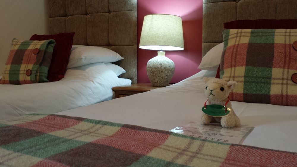 Couette-café Llety Cynin 4*